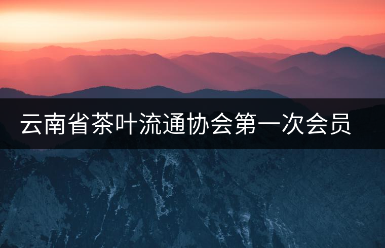 云南省茶葉流通協(xié)會(huì)第一次會(huì)員代表大會(huì)在康樂(lè)茶文化城召開(kāi)