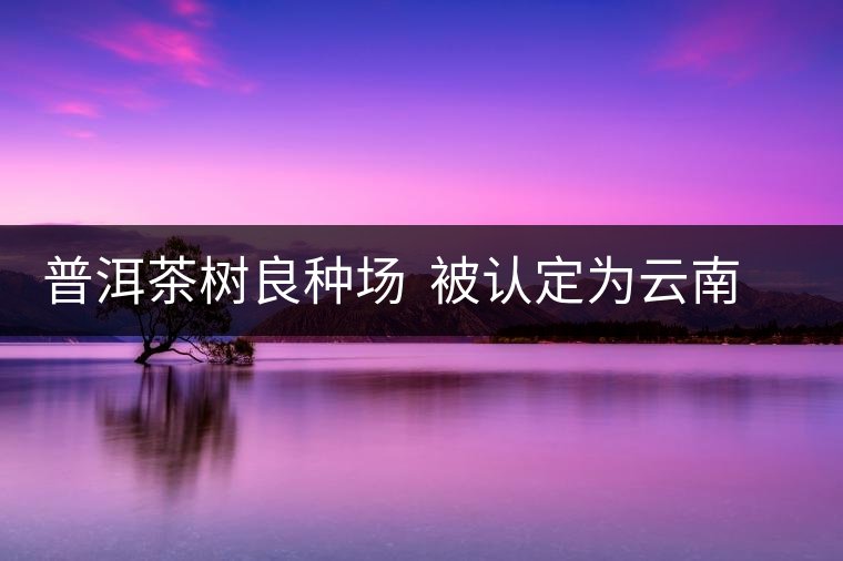 普洱茶樹良種場(chǎng)  被認(rèn)定為云南省優(yōu)質(zhì)種業(yè)基地