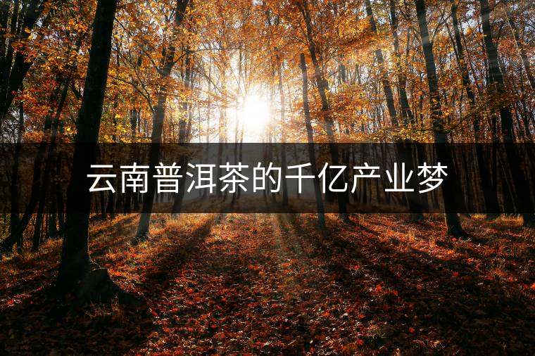 云南普洱茶的千億產(chǎn)業(yè)夢(mèng) 云南普洱茶的千億產(chǎn)業(yè)夢(mèng)
