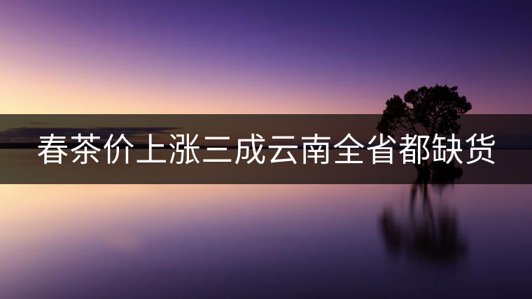 春茶價上漲三成云南全省都缺貨