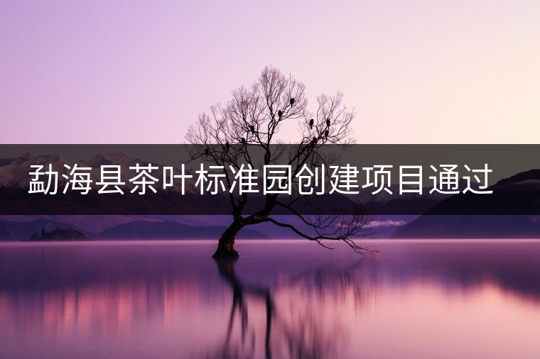 勐海縣茶葉標(biāo)準(zhǔn)園創(chuàng)建項(xiàng)目通過(guò)省級(jí)驗(yàn)收 勐??h茶葉標(biāo)準(zhǔn)園創(chuàng)建項(xiàng)目通過(guò)省級(jí)驗(yàn)收