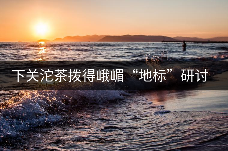 下關(guān)沱茶撥得峨嵋“地標”研討會頭籌 下關(guān)沱茶撥得峨嵋“地標”研討會頭籌
