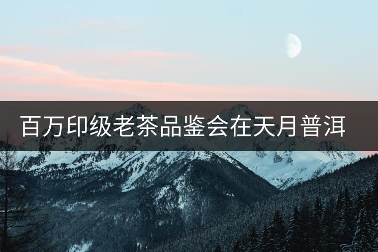 百萬印級老茶品鑒會在天月普洱館成功舉辦 百萬印級老茶品鑒會在天月普洱館成功舉辦