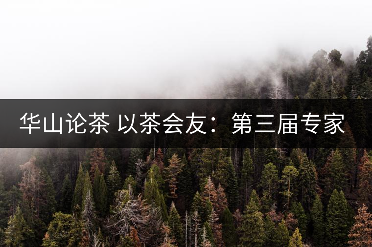 華山論茶 以茶會(huì)友：第三屆專(zhuān)家評(píng)茶會(huì)