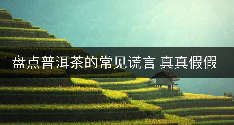 盤點(diǎn)普洱茶的常見謊言 真真假假 看看你認(rèn)可幾條？