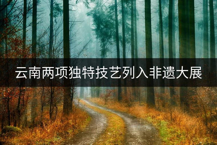 云南兩項(xiàng)獨(dú)特技藝列入非遺大展 云南兩項(xiàng)獨(dú)特技藝列入非遺大展