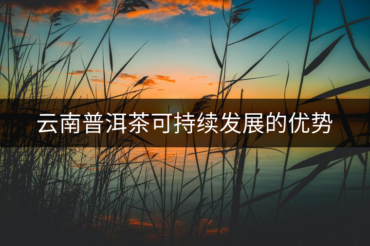 云南普洱茶可持續(xù)發(fā)展的優(yōu)勢(shì) 云南普洱茶可持續(xù)發(fā)展的優(yōu)勢(shì)