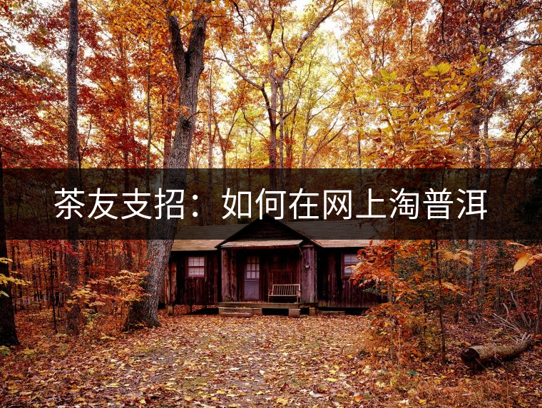 茶友支招：如何在網上淘普洱