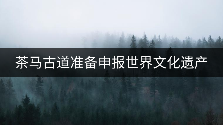 茶馬古道準(zhǔn)備申報(bào)世界文化遺產(chǎn) 茶馬古道準(zhǔn)備申報(bào)世界文化遺產(chǎn)