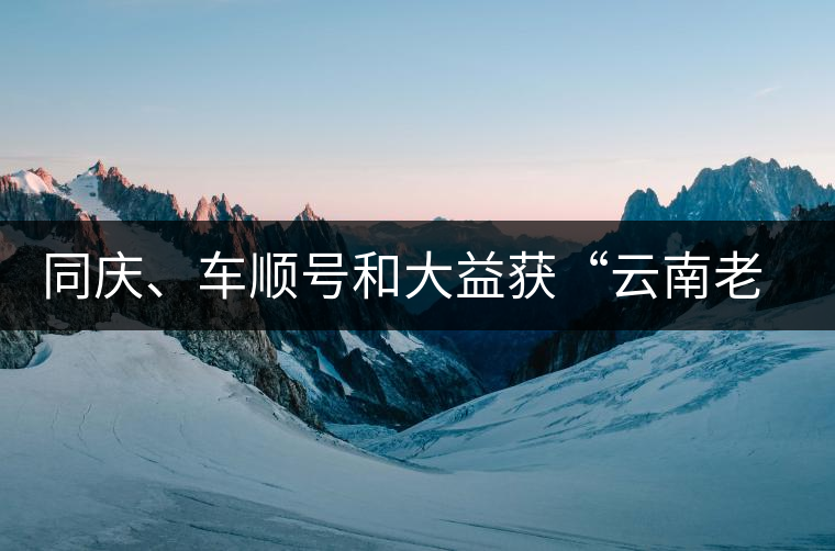 同慶、車順號(hào)和大益獲“云南老字號(hào)”稱號(hào)