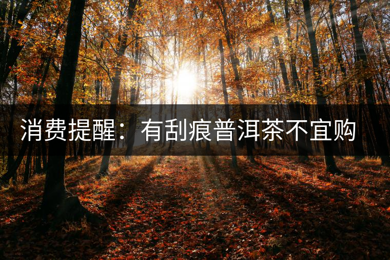 消費(fèi)提醒:有刮痕普洱茶不宜購買 消費(fèi)提醒:有刮痕普洱茶不宜購買