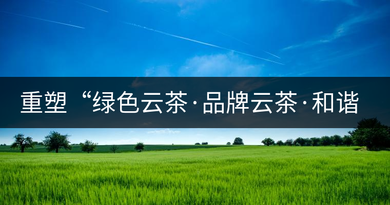 重塑“綠色云茶·品牌云茶·和諧云茶”新形象