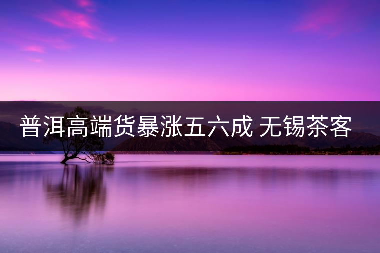 普洱高端貨暴漲五六成 無錫茶客提前囤貨 普洱高端貨暴漲五六成 無錫茶客提前囤貨