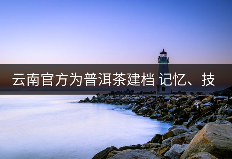 云南官方為普洱茶建檔 記憶、技藝雙傳承