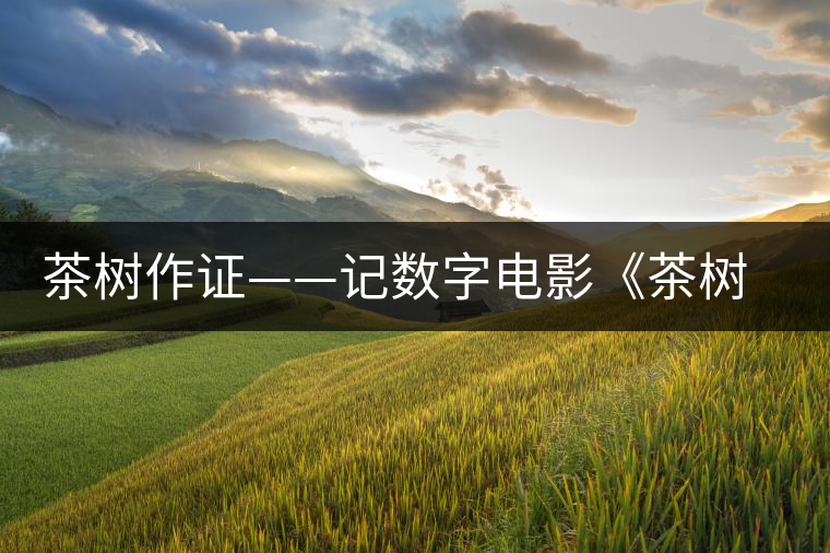 茶樹作證——記數(shù)字電影《茶樹下》的拍攝 茶樹作證——記數(shù)字電影《茶樹下》的拍攝