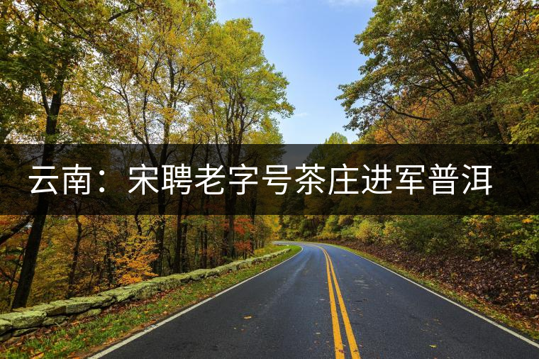 云南:宋聘老字號(hào)茶莊進(jìn)軍普洱茶飲料 云南:宋聘老字號(hào)茶莊進(jìn)軍普洱茶飲料