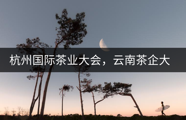 杭州國際茶業(yè)大會(huì),云南茶企大受歡迎 杭州國際茶業(yè)大會(huì),云南茶企大受歡迎