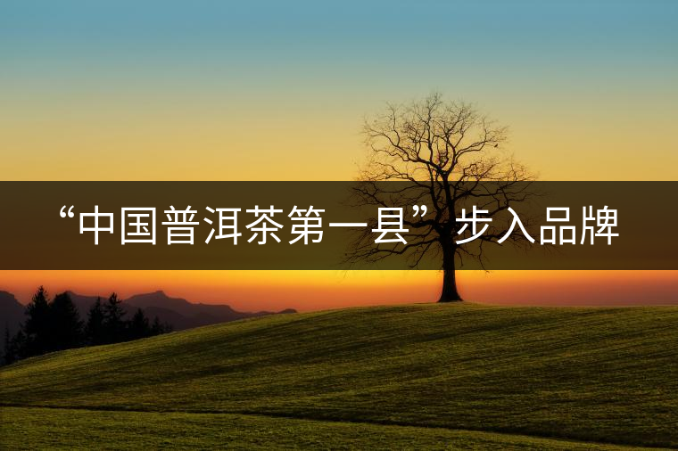 “中國普洱茶第一縣”步入品牌時代