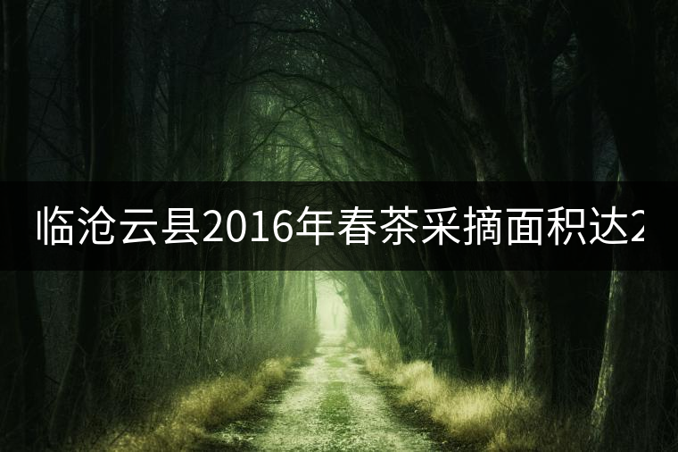 臨滄云縣2016年春茶采摘面積達202605畝，同比增長3.28%