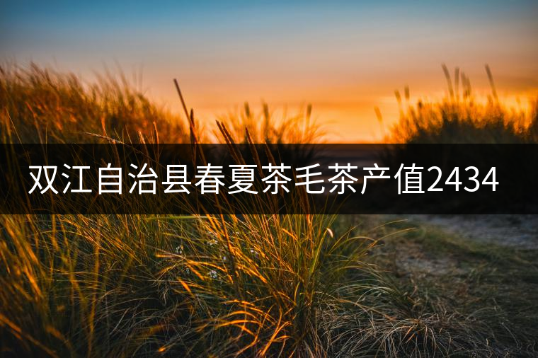 雙江自治縣春夏茶毛茶產(chǎn)值243465.12萬(wàn)元，平均價(jià)穩(wěn)居全市版首