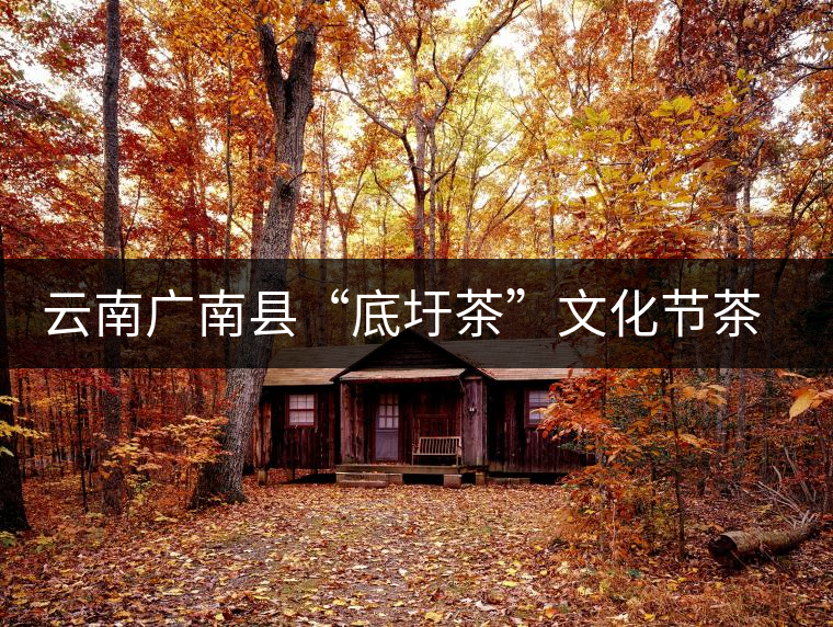 云南廣南縣“底圩茶”文化節(jié)茶品評會傳遞底圩傳統茶韻 云南廣南縣“底圩茶”文化節(jié)茶品評會傳遞底圩傳統茶韻