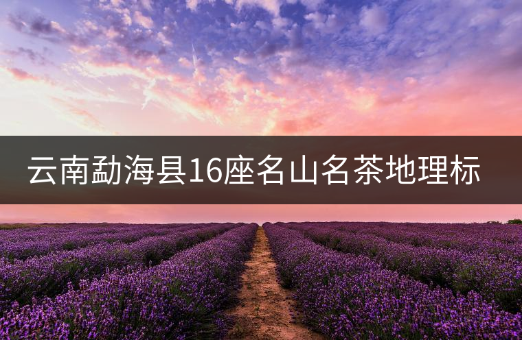 云南勐海縣16座名山名茶地理標(biāo)志證明商標(biāo)申報(bào)完成 云南勐??h16座名山名茶地理標(biāo)志證明商標(biāo)申報(bào)完成