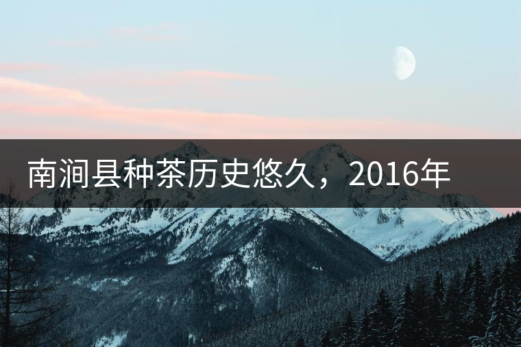 南澗縣種茶歷史悠久，2016年被評為全國十大生態(tài)產(chǎn)茶縣