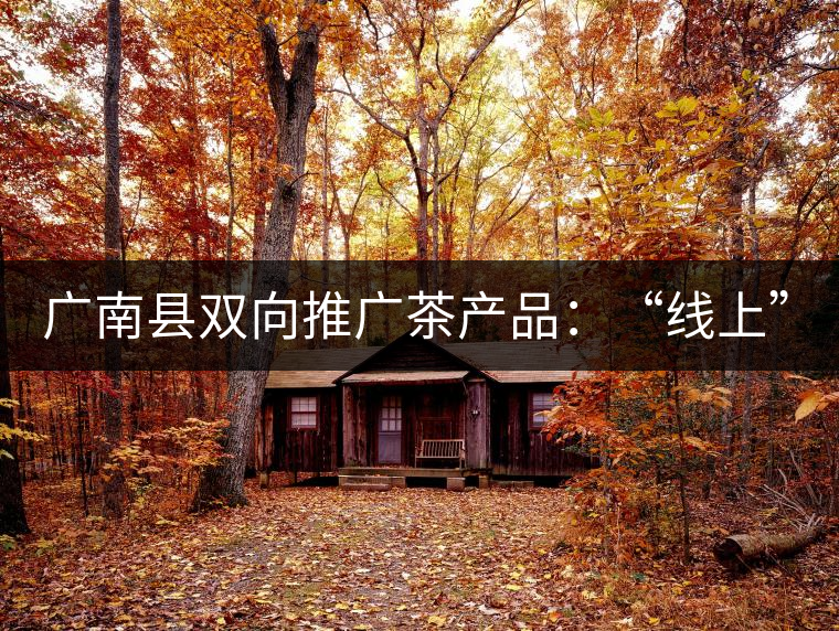 廣南縣雙向推廣茶產(chǎn)品：“線上”銷售茶葉已有100多家，“線下”銷售額已達(dá)百萬(wàn)
