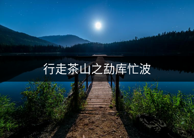 行走茶山之勐庫忙波