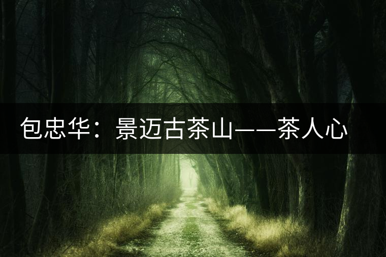包忠華:景邁古茶山——茶人心中的圣山 包忠華:景邁古茶山——茶人心中的圣山