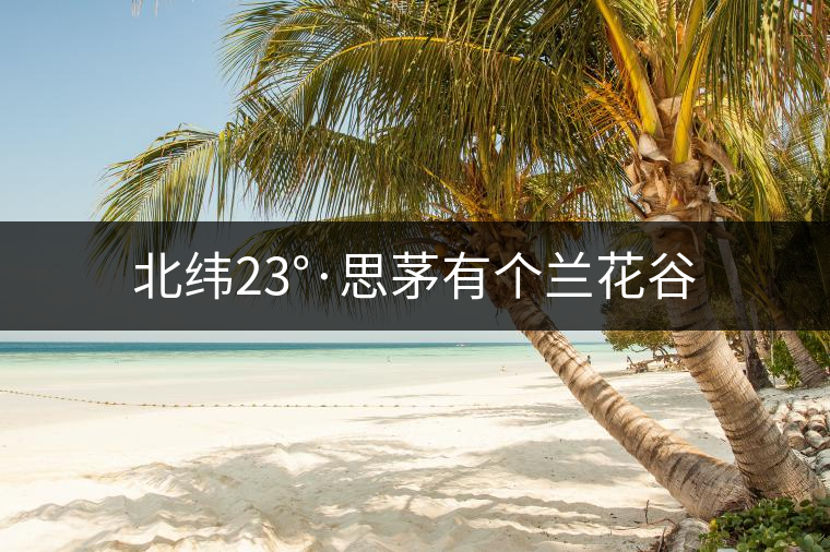 北緯23°·思茅有個(gè)蘭花谷 北緯23°·思茅有個(gè)蘭花谷