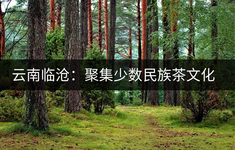 云南臨滄:聚集少數(shù)民族茶文化的地方 云南臨滄:聚集少數(shù)民族茶文化的地方