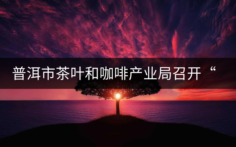 普洱市茶葉和咖啡產(chǎn)業(yè)局召開“新三板”培訓(xùn)座談會(huì)