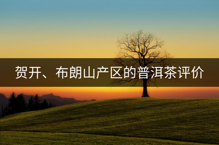 賀開、布朗山產(chǎn)區(qū)的普洱茶評價