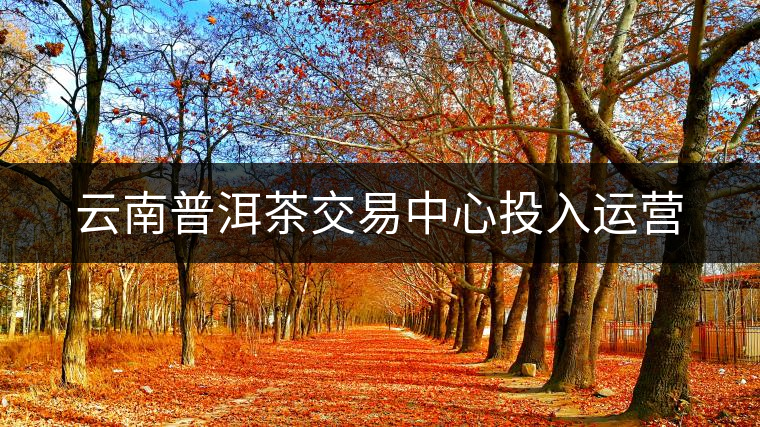 云南普洱茶交易中心投入運(yùn)營(yíng) 云南普洱茶交易中心投入運(yùn)營(yíng)