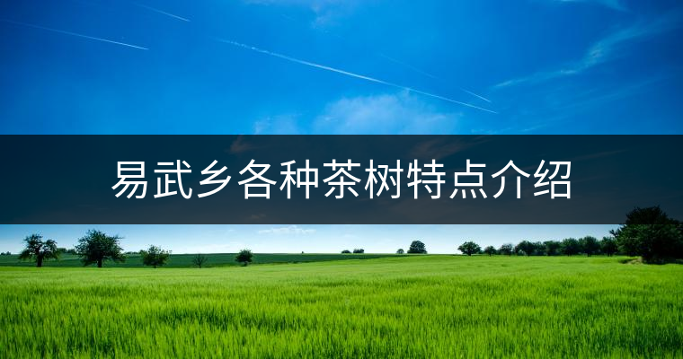 易武鄉(xiāng)各種茶樹(shù)特點(diǎn)介紹 易武鄉(xiāng)各種茶樹(shù)特點(diǎn)介紹