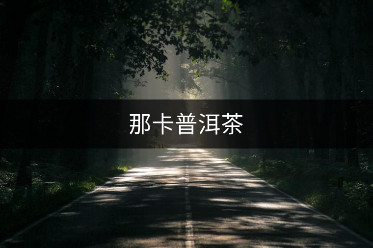 那卡普洱茶 那卡普洱茶