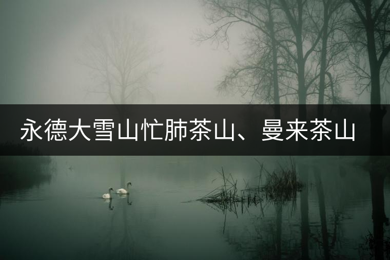 永德大雪山忙肺茶山、曼來茶山、放牛場茶園的生態(tài)指數(shù)