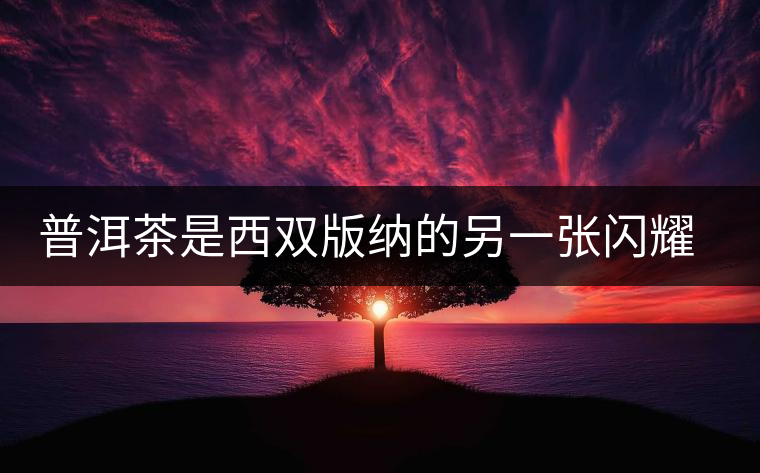 普洱茶是西雙版納的另一張閃耀的名片 普洱茶是西雙版納的另一張閃耀的名片