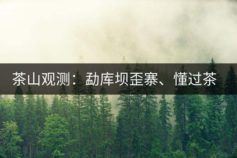 茶山觀測(cè)：勐庫(kù)壩歪寨、懂過(guò)茶山、大戶寨等茶山的生態(tài)指數(shù)