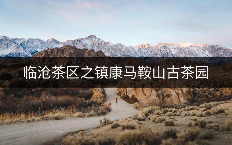 臨滄茶區(qū)之鎮(zhèn)康馬鞍山古茶園