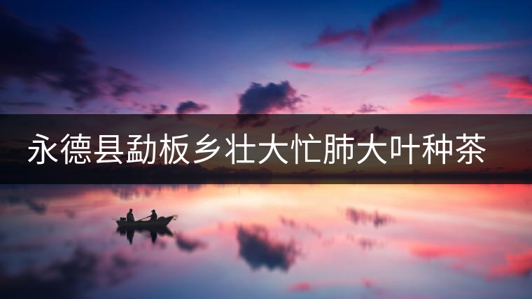 永德縣勐板鄉(xiāng)壯大忙肺大葉種茶發(fā)展規(guī)模 永德縣勐板鄉(xiāng)壯大忙肺大葉種茶發(fā)展規(guī)模