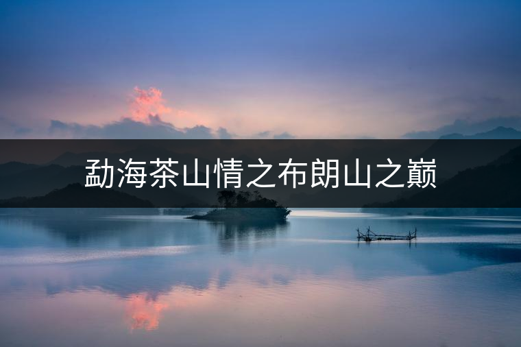 勐海茶山情之布朗山之巔