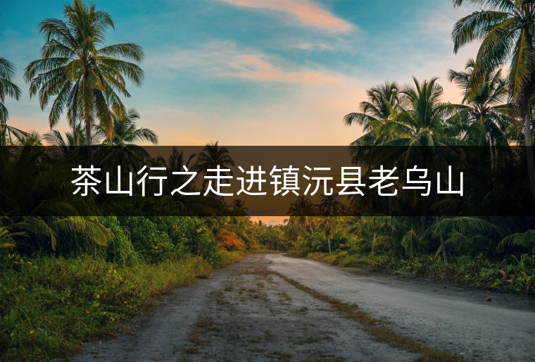 茶山行之走進鎮(zhèn)沅縣老烏山 茶山行之走進鎮(zhèn)沅縣老烏山
