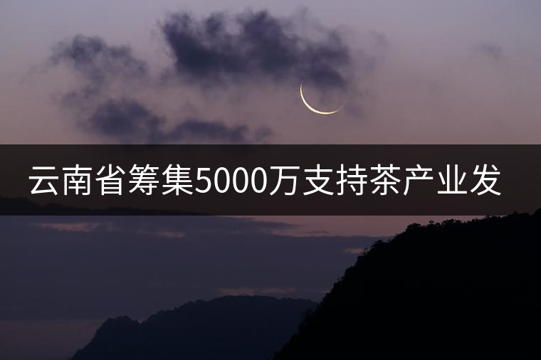 云南省籌集5000萬(wàn)支持茶產(chǎn)業(yè)發(fā)展
