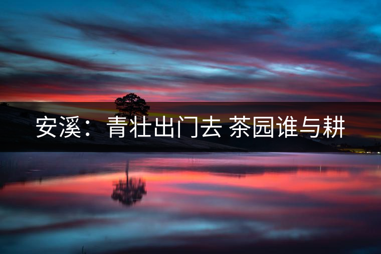 安溪：青壯出門(mén)去 茶園誰(shuí)與耕