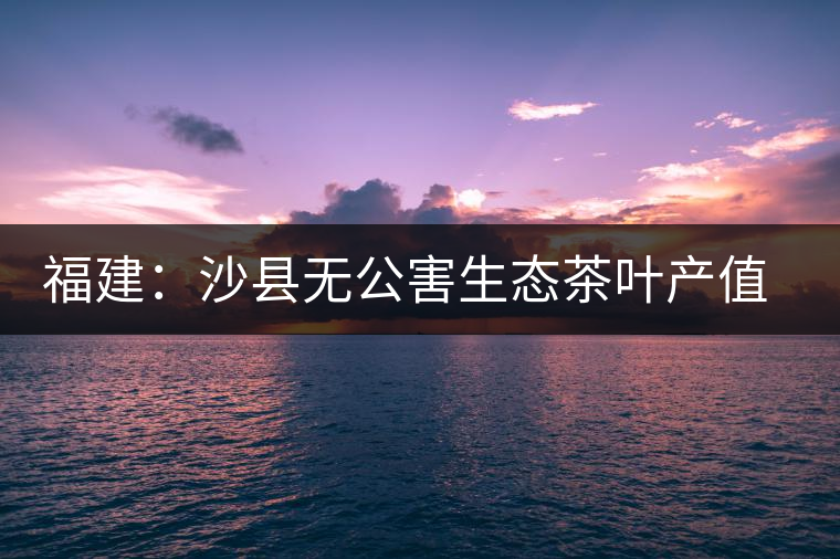 福建:沙縣無公害生態(tài)茶葉產(chǎn)值超億元 福建:沙縣無公害生態(tài)茶葉產(chǎn)值超億元