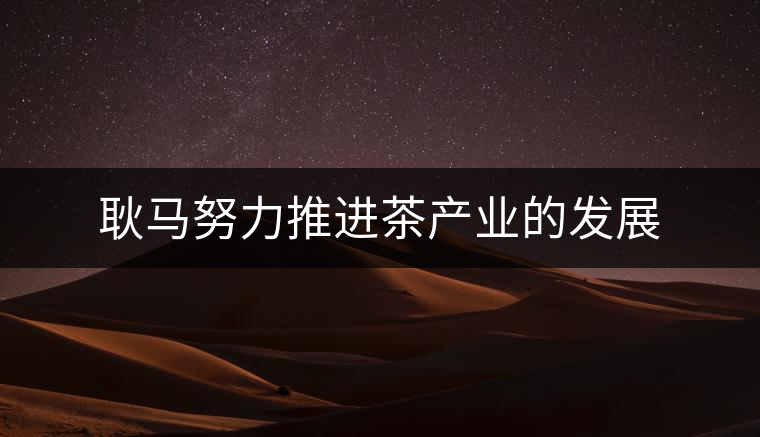 耿馬努力推進茶產業(yè)的發(fā)展