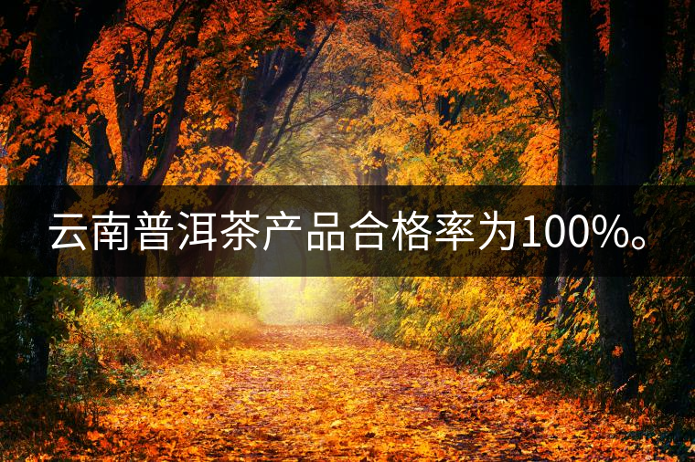 云南普洱茶產(chǎn)品合格率為100%。