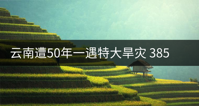 云南遭50年一遇特大旱災(zāi) 385萬人飲水困難 云南遭50年一遇特大旱災(zāi) 385萬人飲水困難
